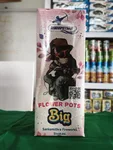 Big Flower pot